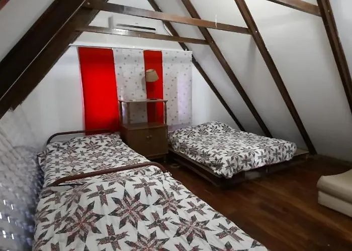 Guest house Congos Y 3*