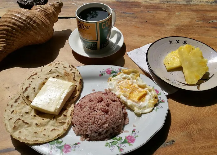Congos Y Guest house Playa Hermosa (Guanacaste)